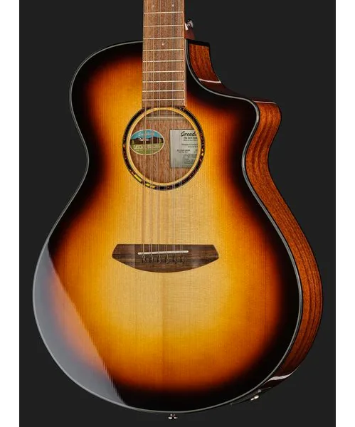 Breedlove Discovery S Conc 12-St CE EB detail 4