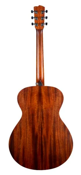Breedlove Discovery S Dreadnought Spruce detail 2