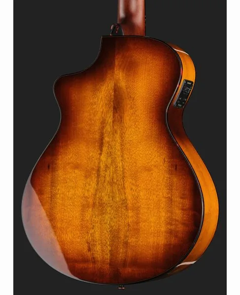 Breedlove Pursuit EX S Companion TE CE detail 5