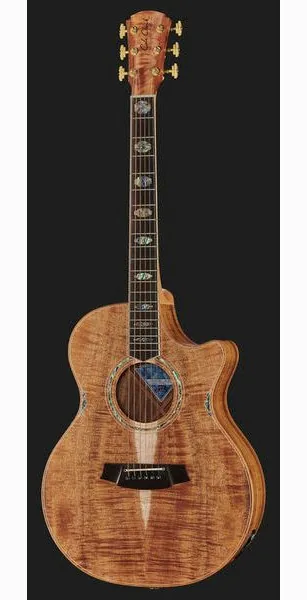 Cole Clark CCAN3EC-BLBL Natural detail 2