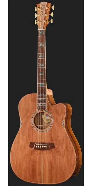 Cole Clark FL3EC-RDBL-AE detail 2