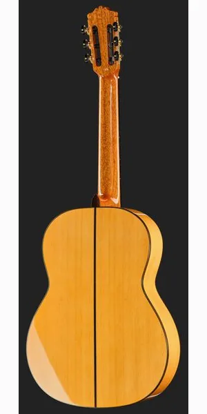 Cordoba F10 Flamenco detail 3