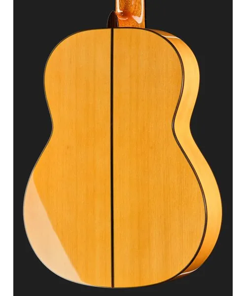 Cordoba F10 Flamenco detail 5