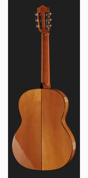 Cordoba F7 Flamenco Iberia detail 3
