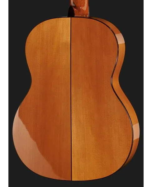 Cordoba F7 Flamenco Iberia detail 5