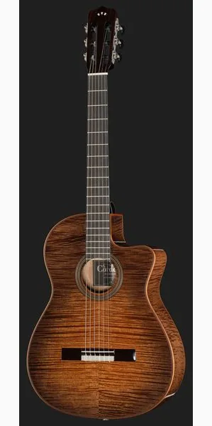 Cordoba Fusion 12 Cinnamon Burst detail 2