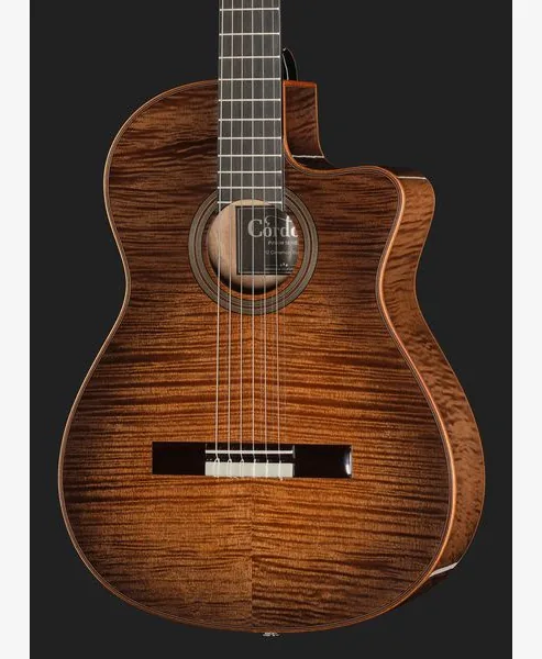 Cordoba Fusion 12 Cinnamon Burst detail 4