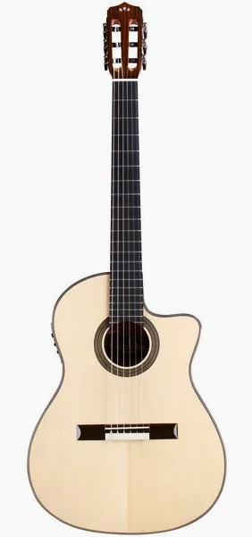 Cordoba Fusion 14 Maple detail 2