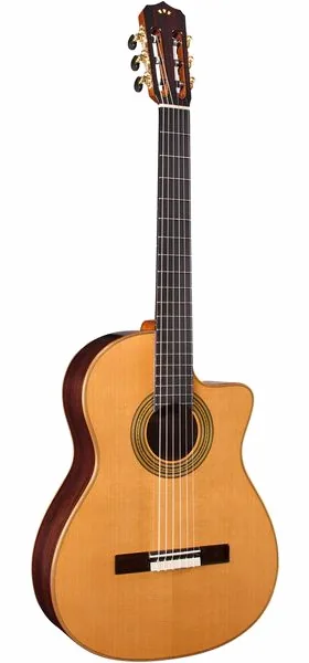Cordoba Fusion Orchestra CE Pro detail 2