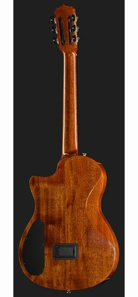 Cordoba Stage Artist Habano Burst detail 3