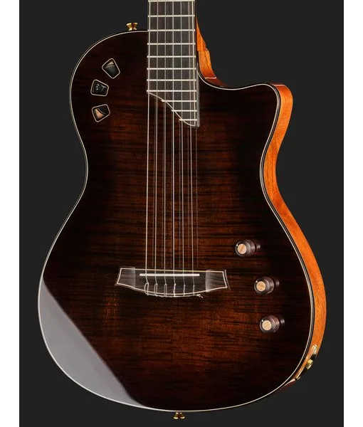 Cordoba Stage Artist Habano Burst detail 4