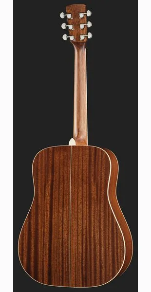 Cort Earth 100 NS w/Bag detail 3