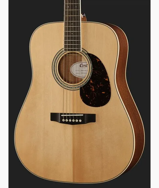 Cort Earth 100 NS w/Bag detail 4