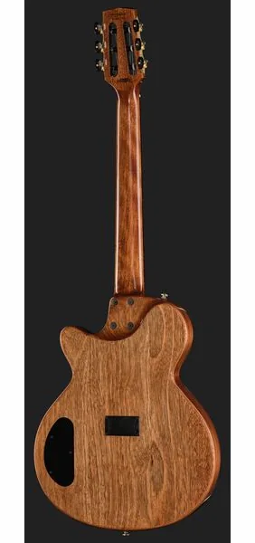 Cort Sunset Nylectric DLX detail 3