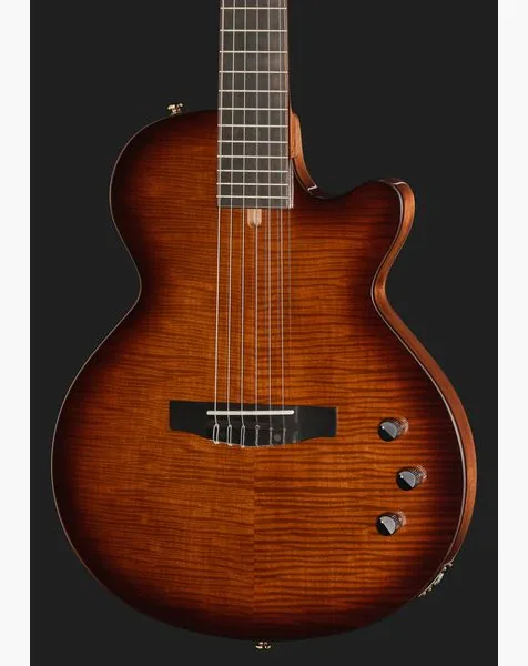 Cort Sunset Nylectric DLX detail 4