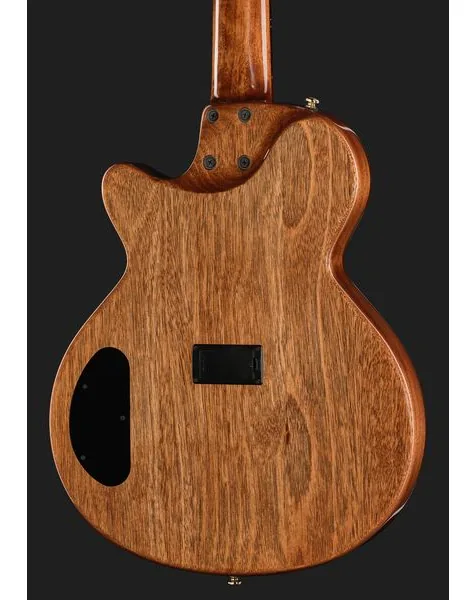 Cort Sunset Nylectric DLX detail 5