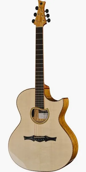 Cuntz Guitars CWG-23S Muving Custom vooraanzicht