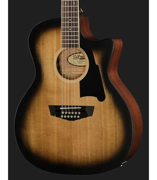 DAngelico Premier Fulton Aged Burst detail 4