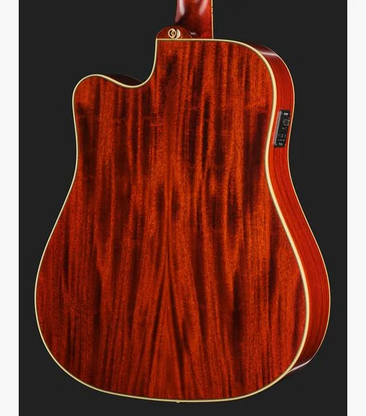 Epiphone Hummingbird Standard EC CS detail 5