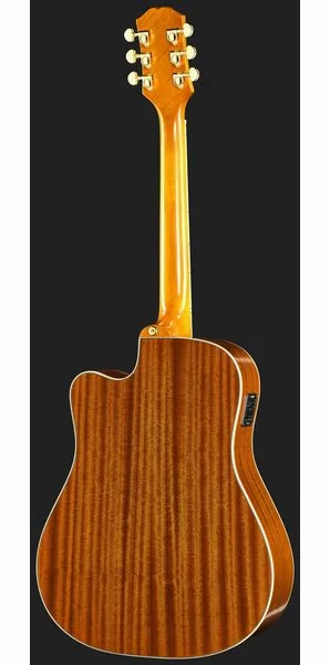 Epiphone Hummingbird Standard EC N detail 3