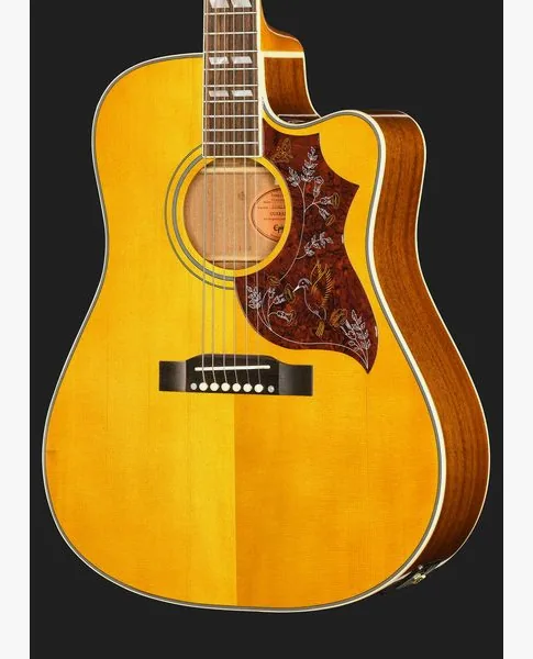 Epiphone Hummingbird Standard EC N detail 4