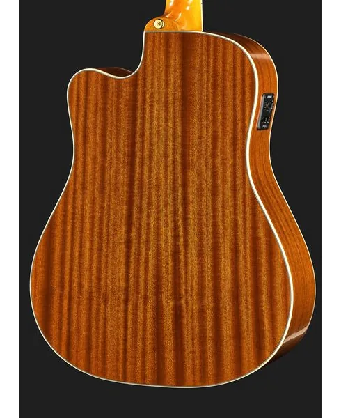 Epiphone Hummingbird Standard EC N detail 5