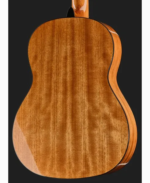 Fender CN-30 Natural detail 5