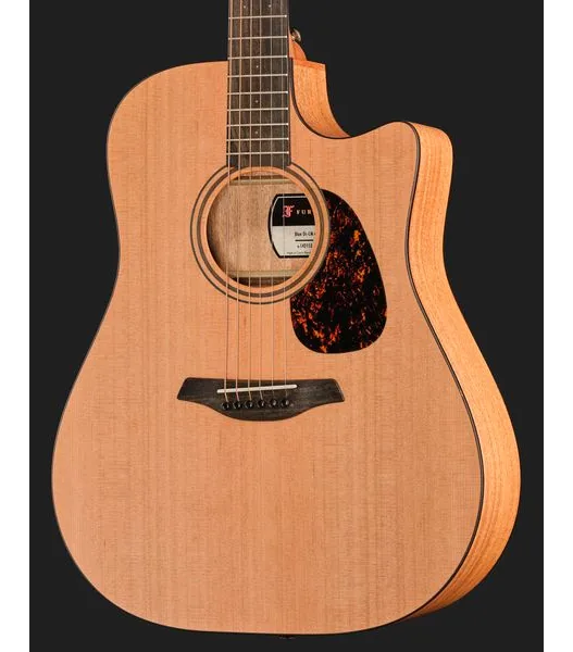 Furch Blue Dc-CM a SPE w/GB detail 4