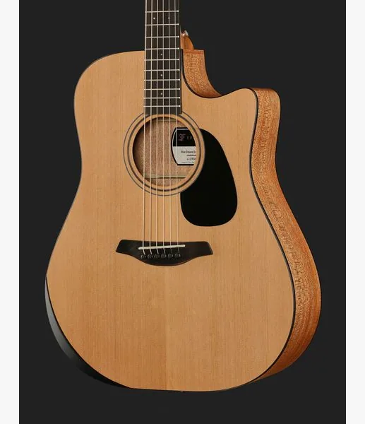 Furch Blue Deluxe Dc-CM a w/GB detail 4