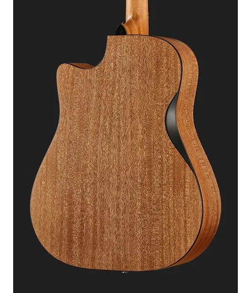 Furch Blue Deluxe Dc-CM a w/GB detail 5