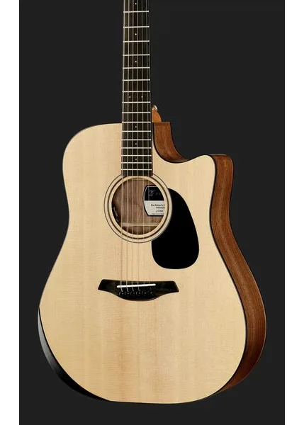 Furch Blue Deluxe Dc-SW a VTC w/GB detail 4