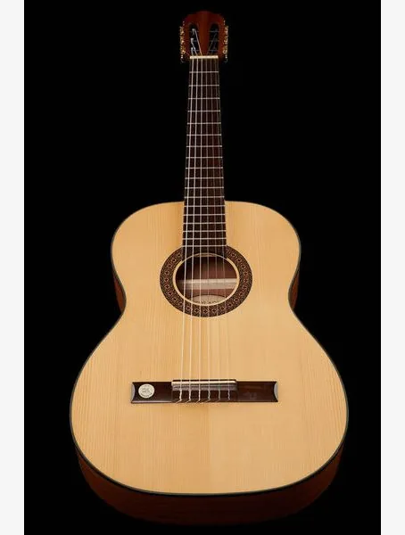 Gewa Pro Arte GC100A w/Bag detail 4
