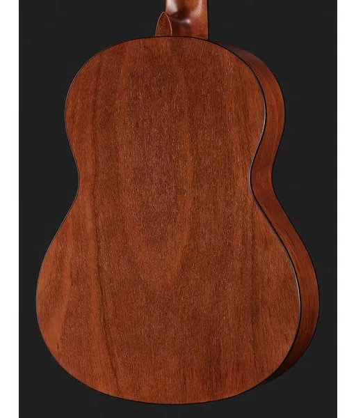 Gewa Student Natural Cedar 3/4 detail 5
