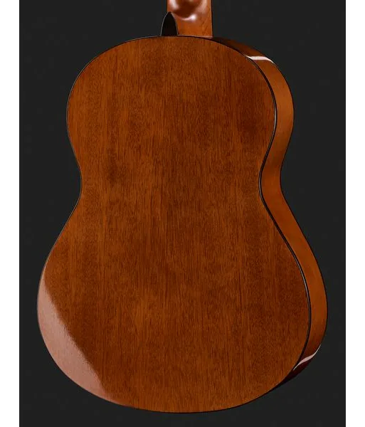 Gewa Student Solid Top Spruce 3/4 detail 5