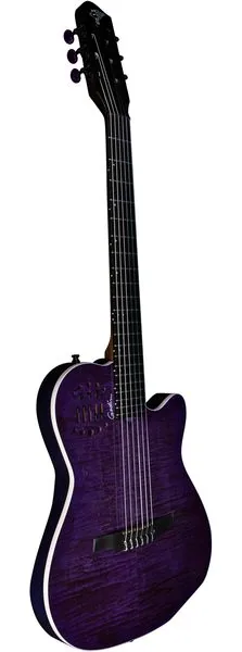Godin ACS Nylon Steve Stevens LTD detail 2