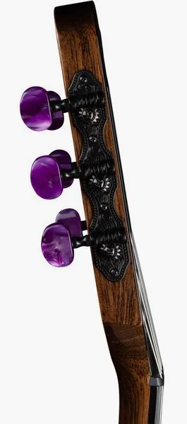 Godin ACS Nylon Steve Stevens LTD detail 5