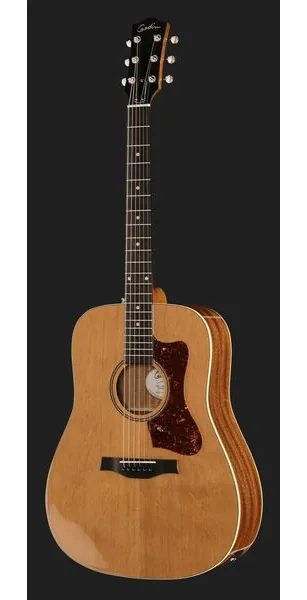 Godin Century Maho Natural EQ detail 2