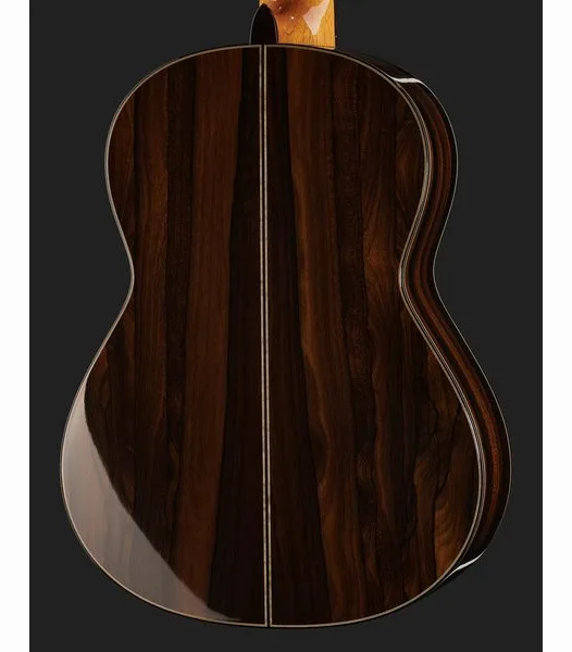 Hanika 7-Meister Concertguitar detail 5