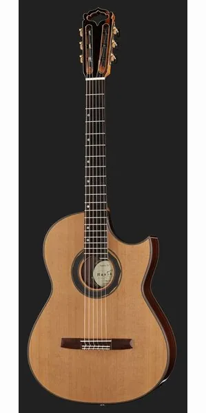 Hanika Fusion PC w/Pickup detail 2