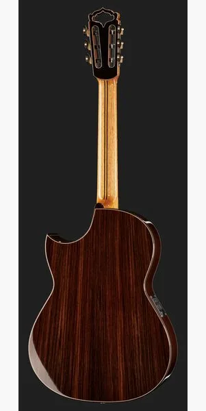 Hanika Fusion PC w/Pickup detail 3