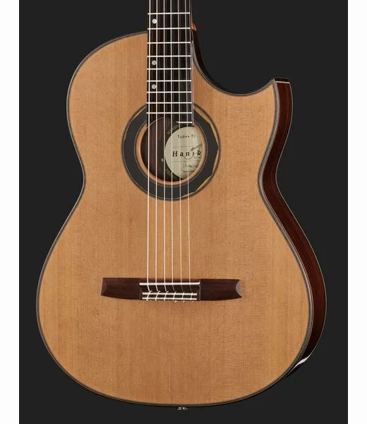 Hanika Fusion PC w/Pickup detail 4