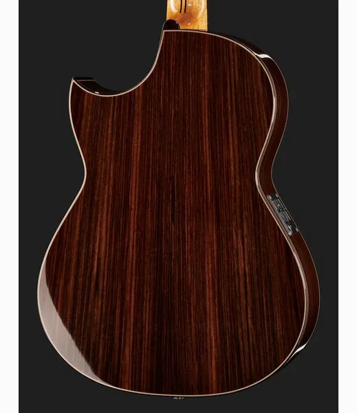 Hanika Fusion PC w/Pickup detail 5