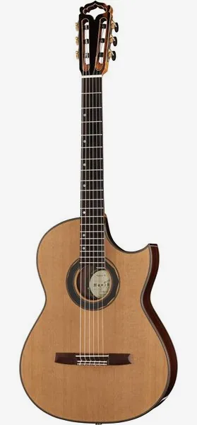 Hanika Fusion PC w/Pickup vooraanzicht