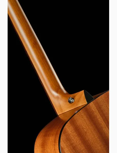 Harley Benton CLD-65ME NT w/Bag detail 4