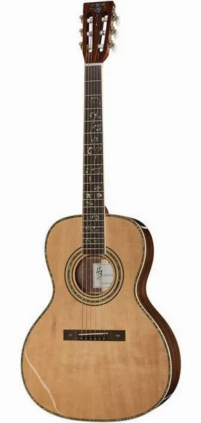 Harley Benton CLF-200 vooraanzicht