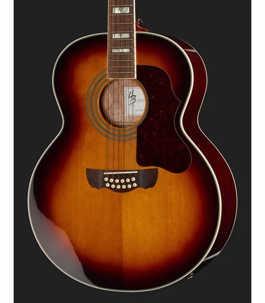 Harley Benton Cust.Line CLJ-412E 3SB w/Case detail 4