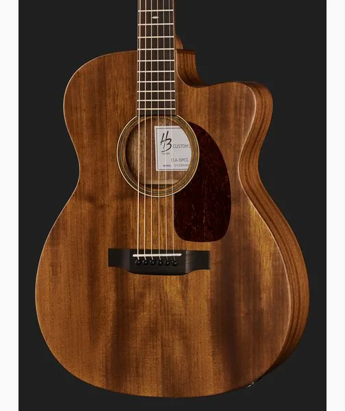 Harley Benton Custom Line CLA-15MCE w/Bag detail 4