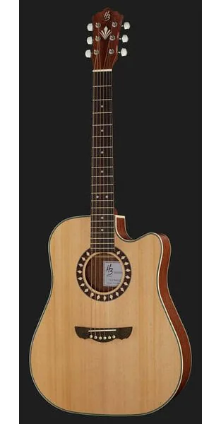 Harley Benton Custom Line CLD-1048SCE detail 2