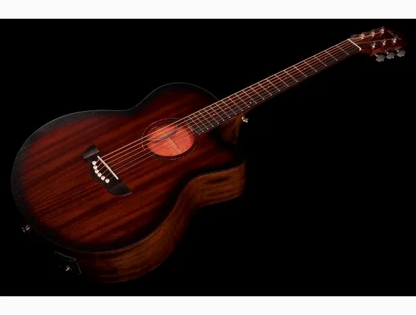 Harley Benton Delta Blues MJCE w/Bag detail 5