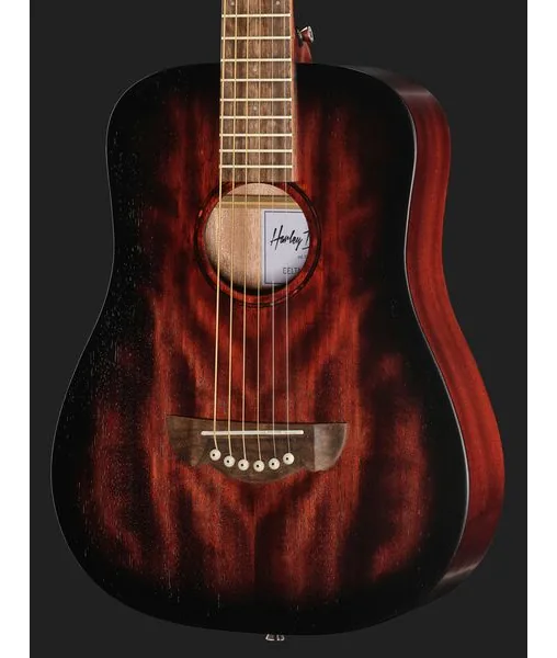 Harley Benton Delta Blues T Set 1 detail 4